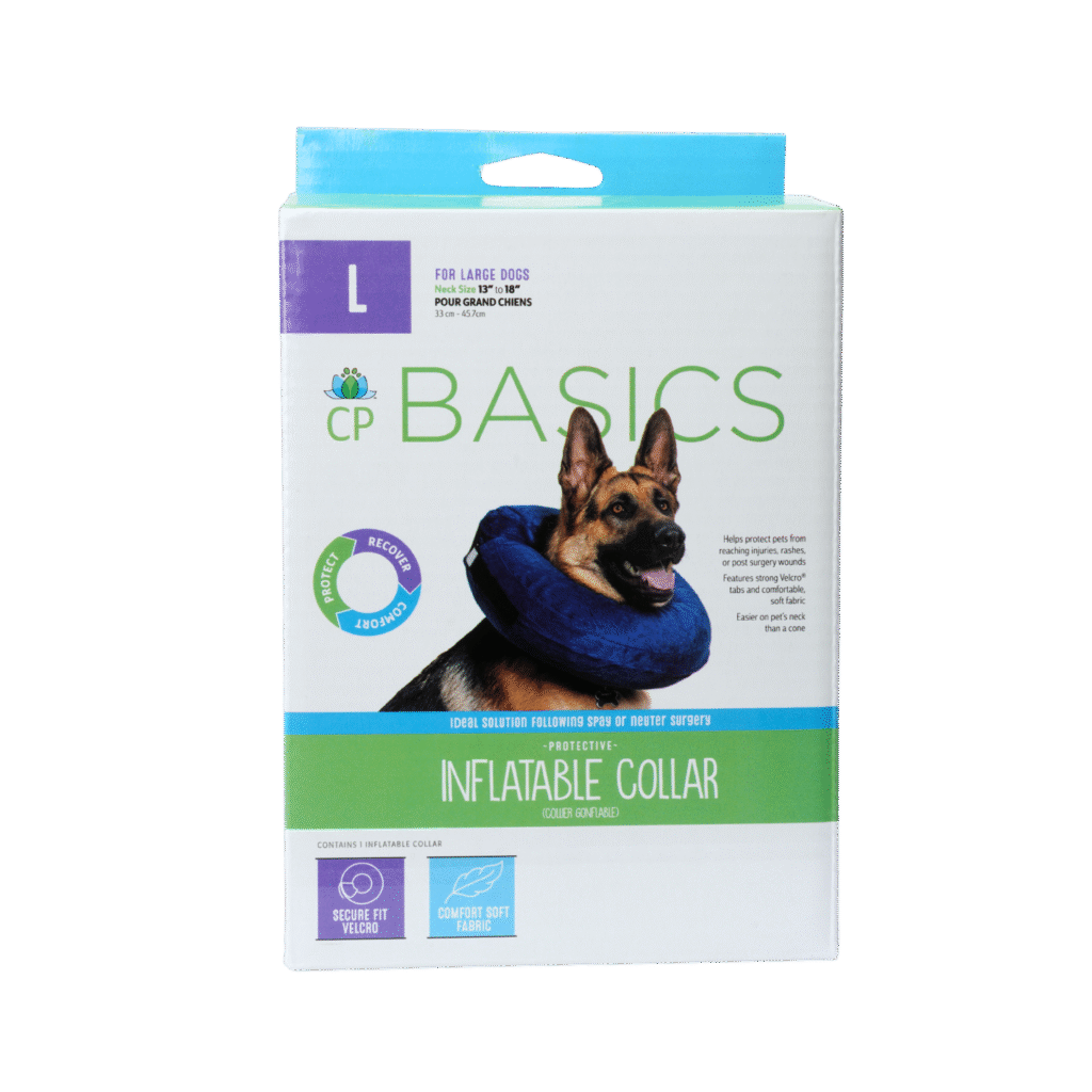 Inflatable Collar | CP Basics