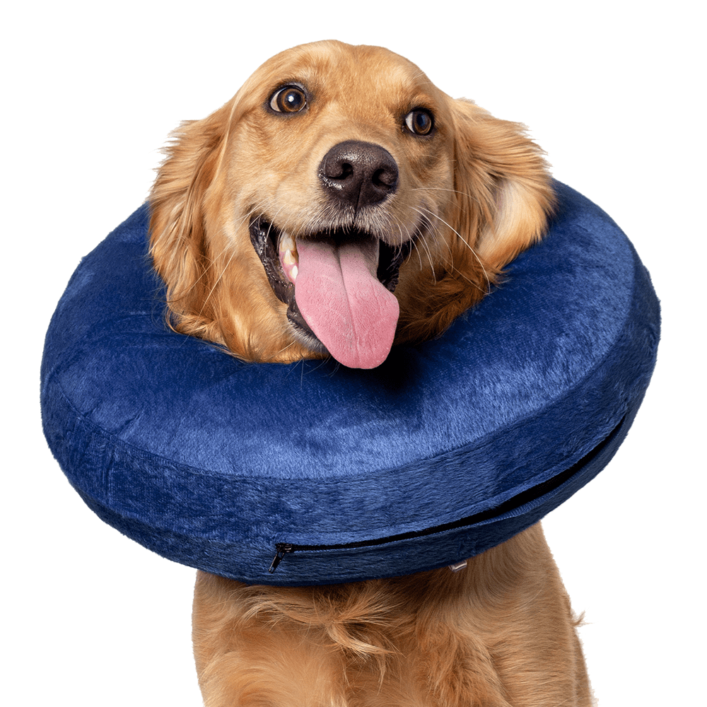 CP Basics Inflatable Collar